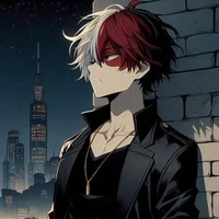 °Todoroki Shoto°