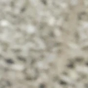 •Yo•