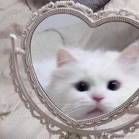 แอดเอง💗