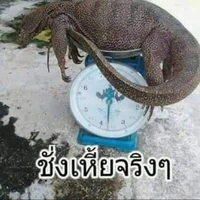 แอด
