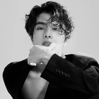 kim seokjin {jin} (ml)