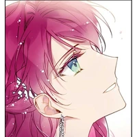 Y/N