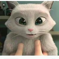 Comot