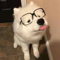 ✨
