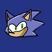 - Sonic T. Hedgehog -