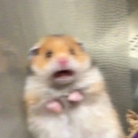 อู๊ดเเอด👁👄👁😔