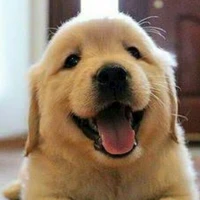 หมา(มันเผา)