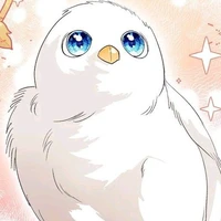 ซาริ