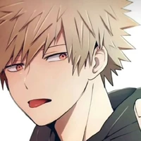Katsuki Bakugou (kacchan)