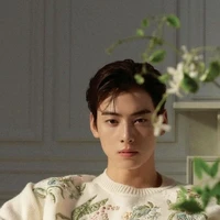 Cha eun woo~