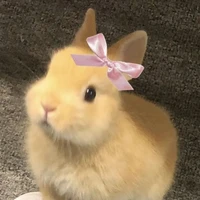 เเอดเองงง!!!