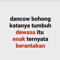 SYSTEM bego