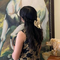 💗Aurora light 💗(author)