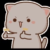 แอดปัญญาอ่อน(ร่าง2)