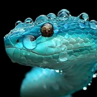 แอด