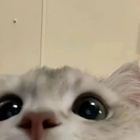 แอด!!