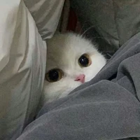 แอด
