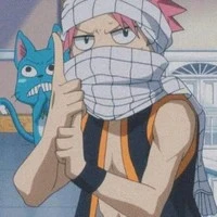 Natsu dragnir ( END )