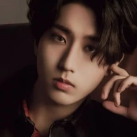 Han Jisung