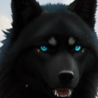 Rufos (lobo do Erick)