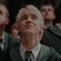 Draco m.