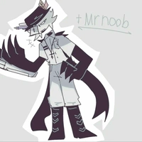 Mr.noob