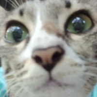 ผมเองคับผมจี๋คับ