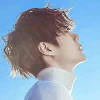 Wang jie (yibo)