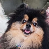 yeontan