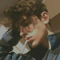 سرين هاني