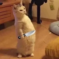 ⭐แอด⭐