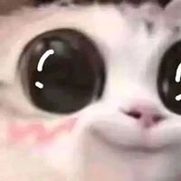 แอด