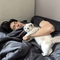 ทีม