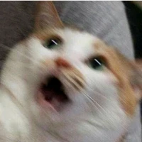แอดเอง~