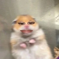 แอดเองคับ;-;