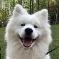 ฟีโรโมน🐺