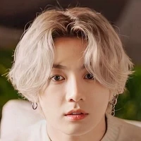 Wang jungkook