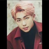 jeon namjoon 