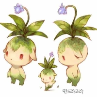 ทุกคนในเผ่า