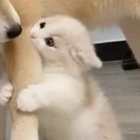 ไร้บ้าน