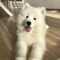 แองเจล่า