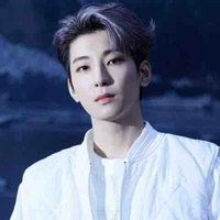 Jeon Wonwoo/ Seokmin