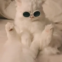 แอดเอง😆