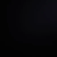 Everyone except for Y/n