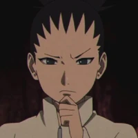 Nara Shikadai