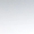 Persona 1