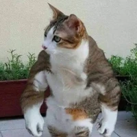 แอด🍜😼