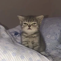 แอดสุดมึน