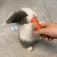 เหล่าลูกๆน.อ