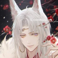 Aily Wolf